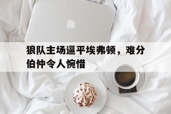 IM电竞游戏平台-英超狼队对埃弗顿